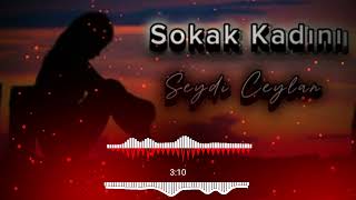 Sokak Kadını  Seydi Ceylan Org Elektro [upl. by Branen317]