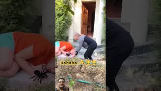 Antfunny comedy prank challenge humor wigofellastiktok wigofellas prankvideo shorts tiktok [upl. by Tabatha575]