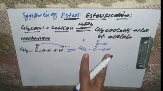 Esterification Synthesis of Ester Mechanism 2nd year chemistry unit 13 mzkchemistry [upl. by Leahcimsemaj697]