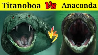 Titanoboa Vs Anaconda  क्या होगा जब खूँखार टाइटेनोबोआ का मुकाबला होगा Amazon के एनाकोंडा साँप से [upl. by Annhoj]