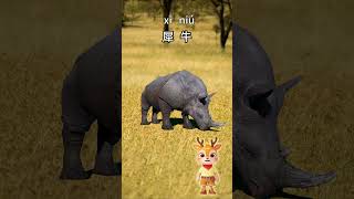 Learn Wild Animals in Chinese：Lets guess what this is｜儿童故事｜中文学习｜中文故事｜ [upl. by Cherish829]