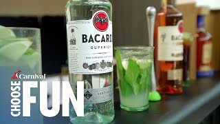 San Juan City Tour amp Bacardi Distillery  Carnival Cruise Line [upl. by Clerc]