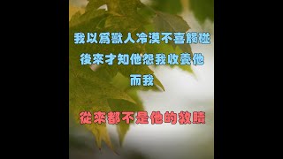 完結 《双生狼》我以為獸人冷漠不喜觸碰，後來才知他怨我收養他，而我從來都不是他的救贖。雙生狼小說 小说 故事 一口气看完 一口氣看完 解压 退休 情感 放送 推荐 推文 推薦 [upl. by Sinne324]