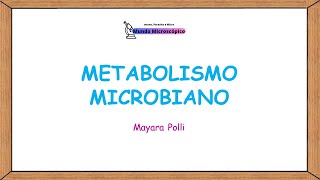 Metabolismo Microbiano  Catabolismo e Anabolismo [upl. by Oneil]