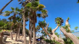 Playa de Sotavento de Jandía  Fuerteventura [upl. by Janelle]