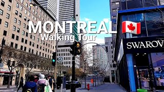 Video Tour Montreal Quebec Canada Sainte Catherine Street [upl. by Oicnevuj]