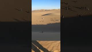 Huacachina Peru  Dune Buggy amp Sand Boarding [upl. by Pros143]