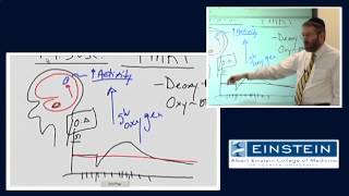 Introducing MRI Functional MRI 55 of 56 [upl. by Emera]