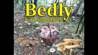 Bedly kam se podíváš [upl. by Nakada]