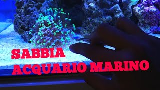 Acquario Marino  SABBIA DI ARAGONITE SABBIA CORALLINA SABBIA DI SILICE FONDAMENTI [upl. by Anilyx]