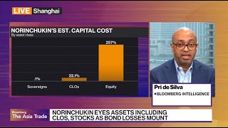 Norinchukin Bank’s Problems Don’t Point to a Broader Systemic Challenge Jun 25 2024 [upl. by Aidroc]