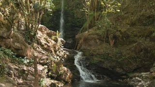 CASCADAS DE LAMIÑA CANTABRIA [upl. by Alolomo341]