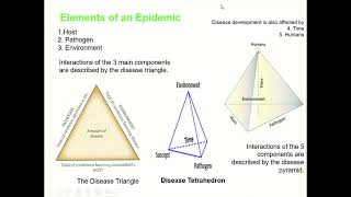 Plant Disease Triangle Disease Tetrahedron and Disease Pyramid Disease epidemiology [upl. by Chaney]