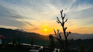 Chail Himachal Pradesh  Chail Trip  Places to visit in Chail chail himachal travelvlog nature [upl. by Kester919]