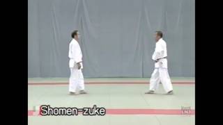 Kodokan GoshinJutsu português [upl. by Dolf]