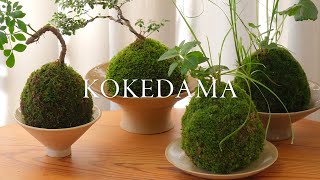 How to Make Kokedama  tutorial and care live moss ball houseplant [upl. by Finbar]