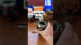 Ezért a Kedvenc Italom a Yerba Mate🧉 yerbamate hungary [upl. by Urson]