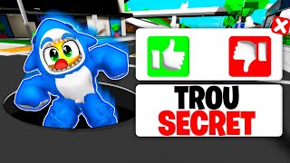 Jai Essayé 69 SECRETS EN 24 HEURES sur BROOKHAVEN [upl. by Romeyn]