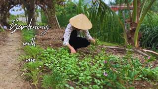 Compost Plant More Flowers And Sow Seeds  Gardening  Countryside Life [upl. by Anib]