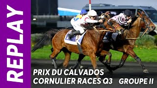 Gold Voice sur le fil dans le Prix du Calvados Cornulier Races Q3 GRII  Vincennes  070124 [upl. by Elledoj]