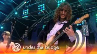 Red Hot Chili Peppers  Under the Bridge  Live [upl. by Nomis155]