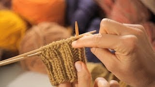 Distribute Stitches on 2Pointed Needles  Circular Knitting [upl. by Orlando]