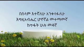 Pastor Tamirat Haile እግዚአብሔር ሆኖኛል መተማመኛ song with lyrics by BT [upl. by Bunder]