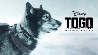 Togo 2019 Movie  Willem Dafoe Ericson Core  Walt Disney Studios Togo Movie Full Facts Review HD [upl. by Chuah140]