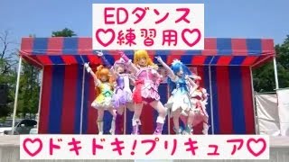 練習用【ドキドキプリキュアダンス】反転の新エンディングダンス！練習用5回？ [upl. by Waters737]