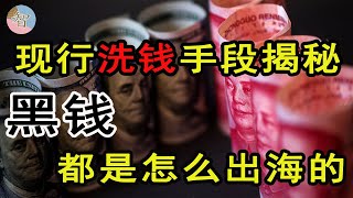 揭秘大陆现行洗钱手法，巨额资金如何出海，黑钱怎么洗白的。 [upl. by Naida]