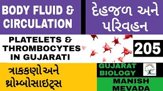 PLATELETS amp THROMBOCYTES IN GUJARATI  ત્રાકકણો અને થ્રોમ્બોસાઇટ્સ [upl. by Ario261]