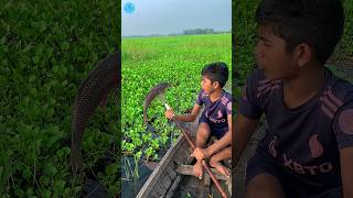 😲 Best Boat Fishing With Kotch 🌻part 145boatfishing viral shorts fish naturalfishingbigfish [upl. by Nevs]