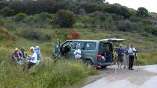 Birds of Lesvos  Wingspan bird Tours Images of Lesvos in the Spring [upl. by Seedman]