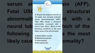 Neuroanatomy Neural Tube Defects  USMLE Prep  Drone Drill Quiz Quest  MCQ  22 [upl. by Llerdnad370]