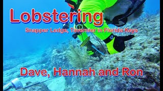 Snapper Ledge Dive at Tavernier in the Florida Keys with Dave and Ron [upl. by Oivat]