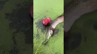 emman4470 fishingforsurvivalfishermanskills fishing fishermanlife funny comedy [upl. by Sirovat842]