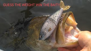 GUESS THE WEIGHT WIN THE BAIT Read the rules in the description [upl. by Richma303]