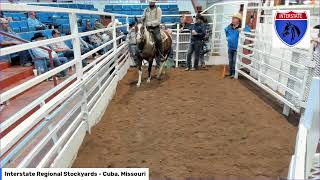 Interstate Regional Stockyards  Cuba Missouri [upl. by Sidwell914]