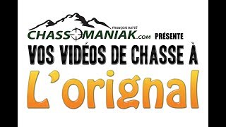 Vos vidéos de chasse à lorignal Chassomaniak old stuff [upl. by Kristyn]