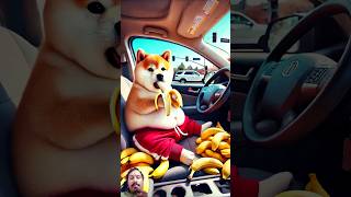 Baby Shibas wild revenge ride 🚗 ai cute dog funnyvideo [upl. by Hardigg]