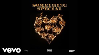 25K  Something Special Official Audio ft Marcus Harvey [upl. by Kegan116]