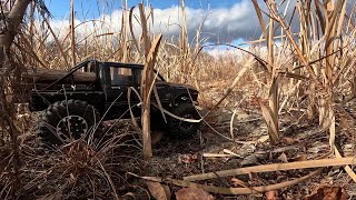 Log Hauling 2024 with the RC4WD C2X [upl. by Girovard]