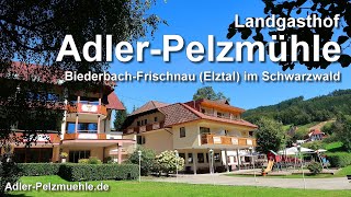 Landgasthof AdlerPelzmühle in Biederbach Elztal im Schwarzwald [upl. by Eiahpets]