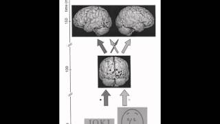 Recherches en neuroéducation  étudier comment le cerveau apprend à lire et à compter [upl. by Revlis]