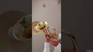 Flugelhorn Couesnon NATURALLY [upl. by Ahcarb206]