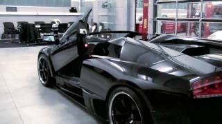 AMAZING Remote control Lamborghini Doors [upl. by Naahs]