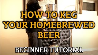 How To Keg Your Homebrewed Beer  Beginner Tutorial [upl. by Endora]