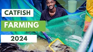 CATFISH FARMING GUIDE FOR BEGINNERS IN 2024  ALL You Need To Know [upl. by Ullman]