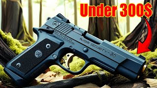 7 Best Guns Under 300 [upl. by Are]