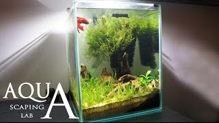 Aquascaping Lab  Tutorial Nano Cube Aquarium size 20 x 20 x 25H 10L Grass and wood style [upl. by Higinbotham128]